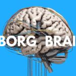 Cyborg Brains, The Science Behind Tesla’s Optimus Gen 2, & AI Social Learning